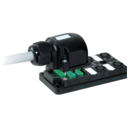 MURRELEKTRONIK 27013 - MVP12 4xM12 4 poli a cablare 10m